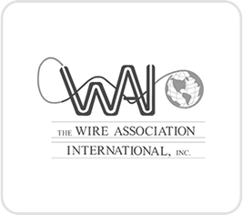 logo-wai
